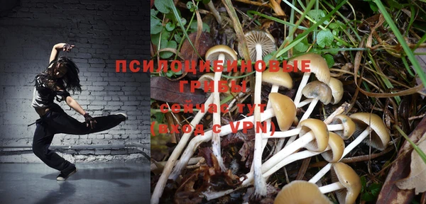 гидропоника Алзамай