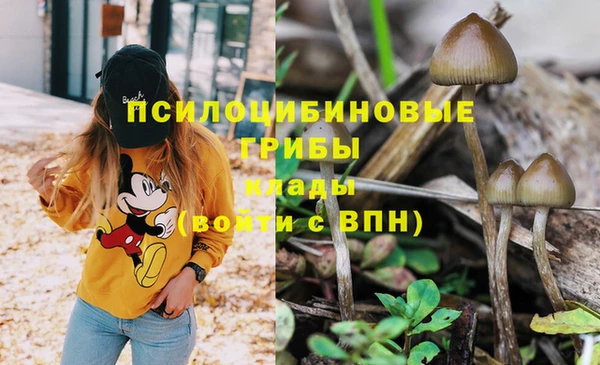 мефедрон Алексеевка