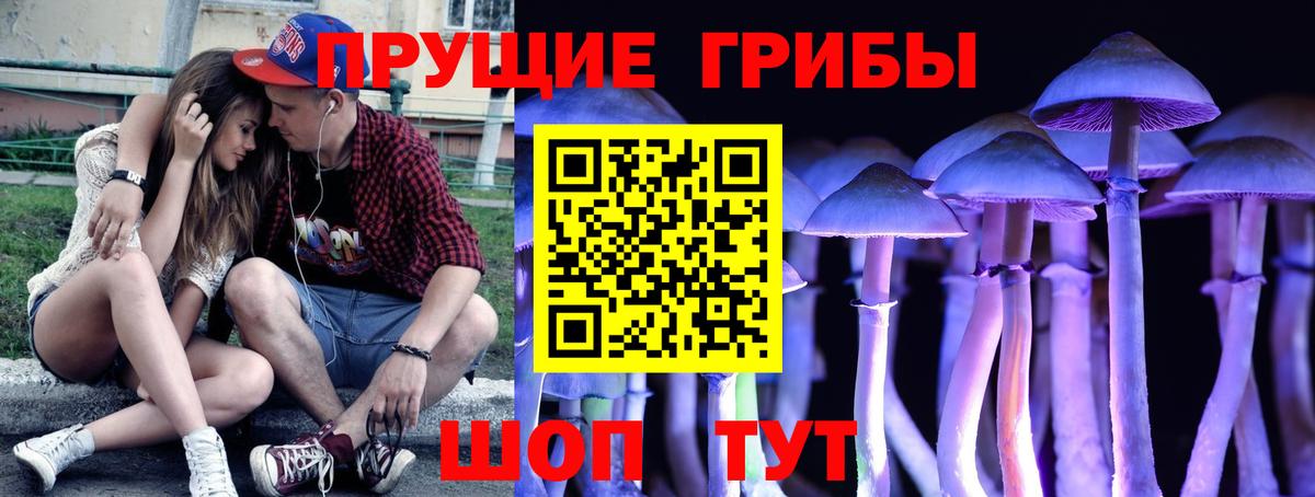 Галлюциногенные грибы GOLDEN TEACHER  наркошоп  Сибай  Псилоцибиновые грибы прущие грибы  Вход с VPN 
