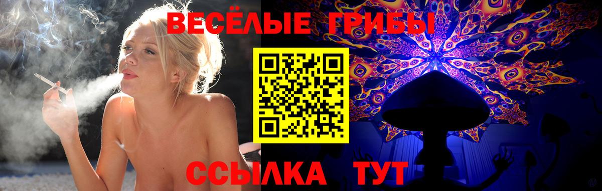 Псилоцибиновые грибы прущие грибы Сибай
